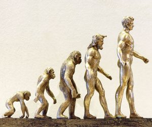 Especies Humanas Origen Características Evolución