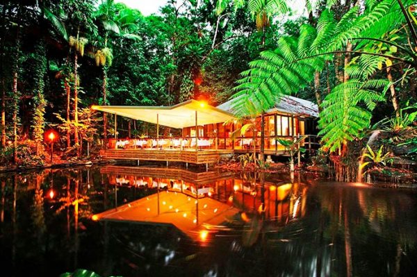 Hoteles En Medio De La Selva, Una Aventura Inolvidable | Cinco Noticias