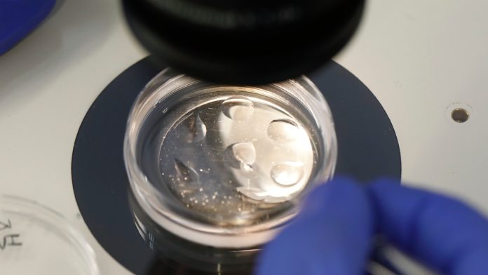 Placa de cultivo de embriones con microgotas