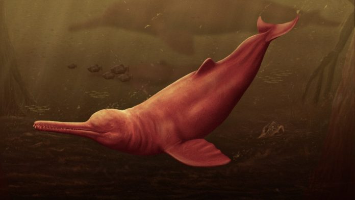Delfín prehistórico gigante
