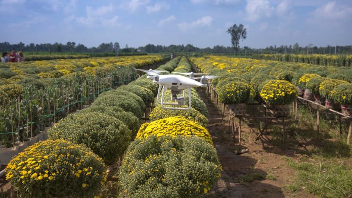 Digitalización del sector agroalimentario (dron, agricultura)