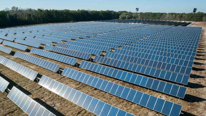Paneles solares, energías renovables